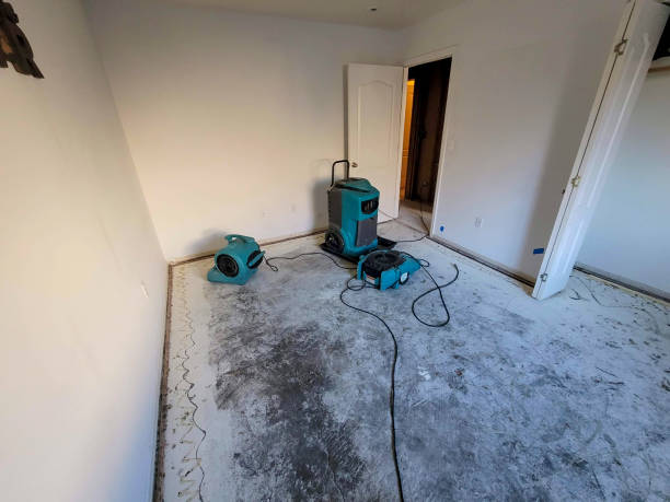 Best 24-hour water damage restoration  in West Athens, CA