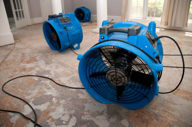 Best Flooded house restoration  in West Athens, CA