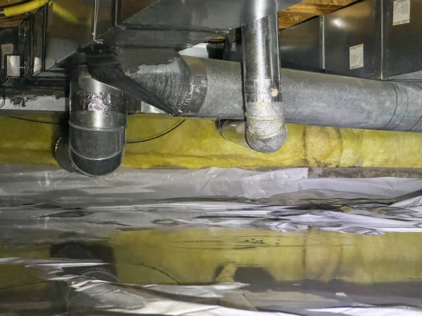 Best Local water damage restoration  in West Athens, CA