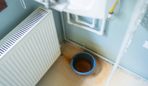 Best Water damage contractors near me  in West Athens, CA