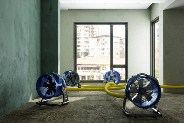 Best Sewage cleanup and water damage restoration  in West Athens, CA